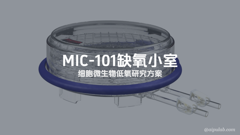MIC-101细胞缺氧小室/微生物低氧培养系统