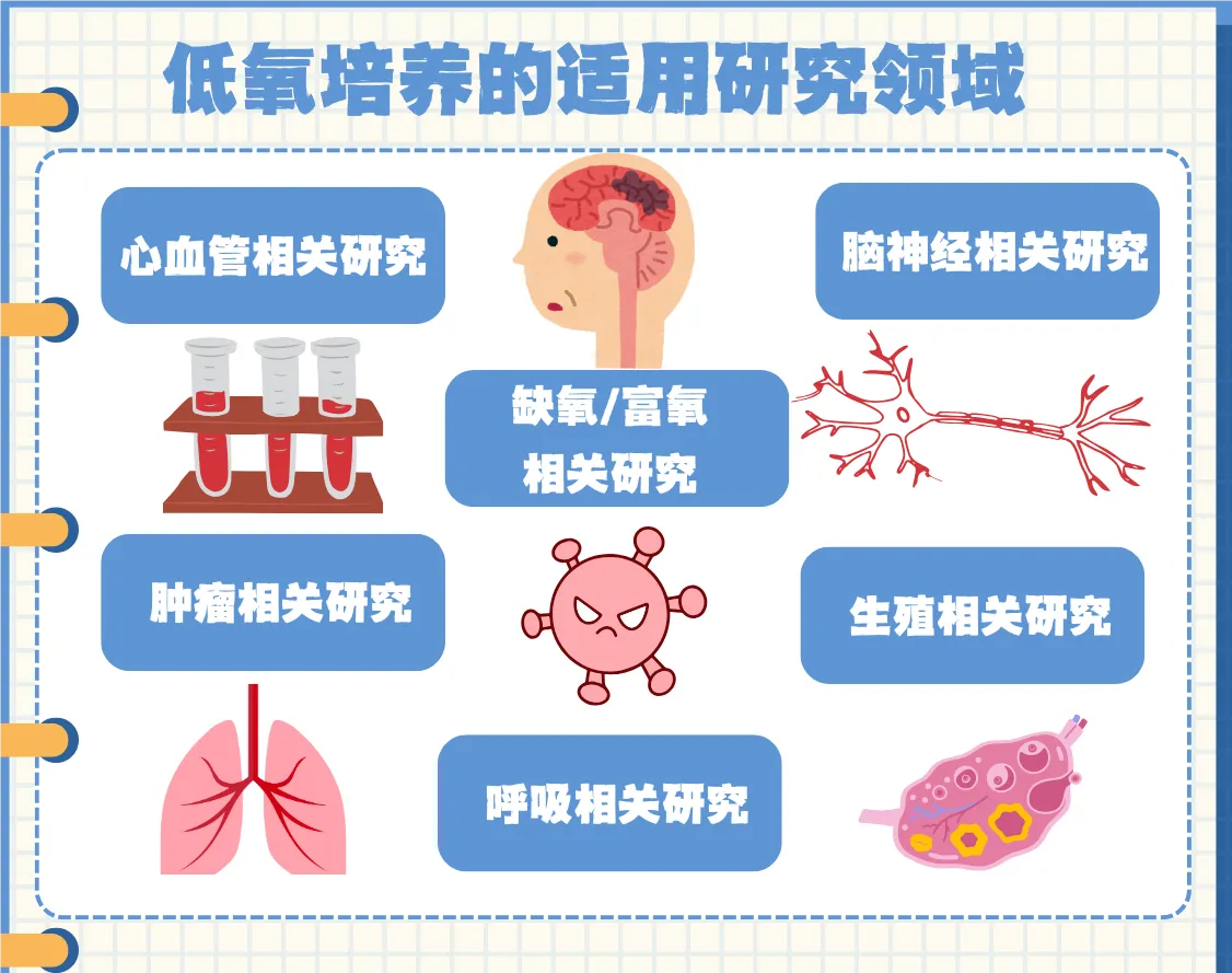 缺氧、低氧、细胞低氧培养模型在医学研究中的关键作用